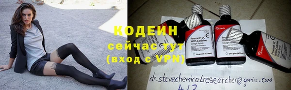 дмт Бородино