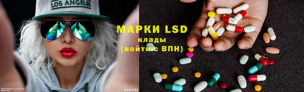 дмт Бородино