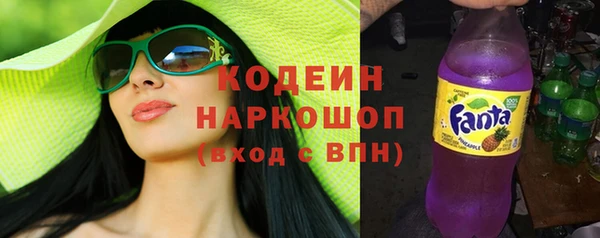 дмт Бородино