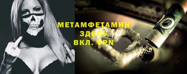 дмт Бородино
