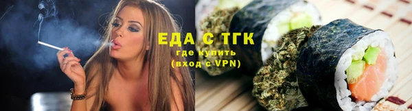 дмт Бородино