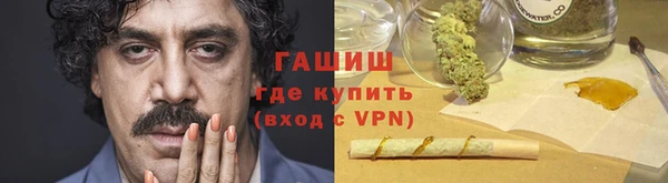 дмт Бородино