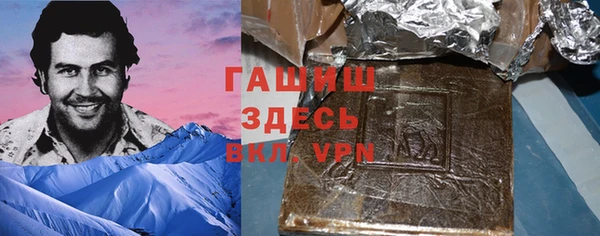 дмт Бородино