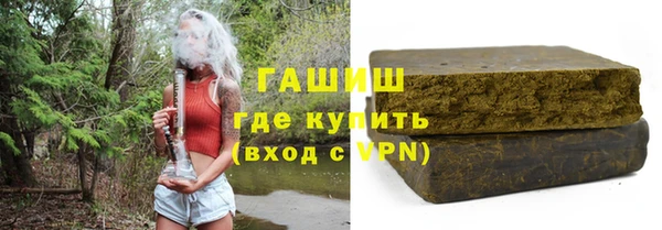 дмт Бородино