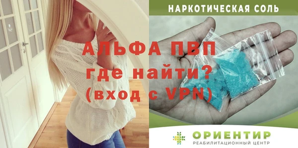 дмт Бородино