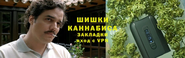 дмт Бородино