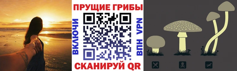 Галлюциногенные грибы мухоморы Грязовец